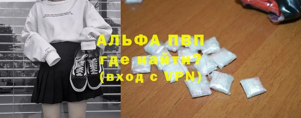 спиды Магас