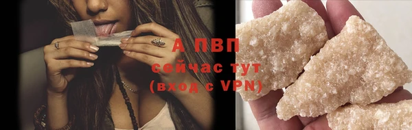 спиды Магас