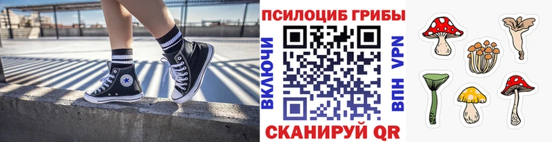 Галлюциногенные грибы MAGIC MUSHROOMS  даркнет сайт  Шилка 
